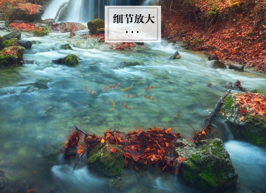 王城什么时候变灰城 -香江紫荆网 - 快看问答